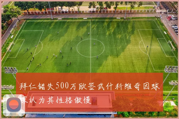 拜仁错失500万欧签武什科维奇因球探认为其性格傲慢