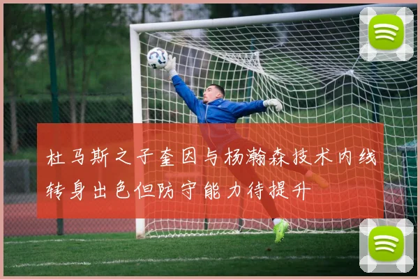杜马斯之子奎因与杨瀚森技术内线转身出色但防守能力待提升