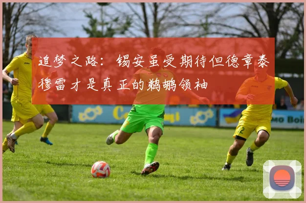 追梦之路：锡安虽受期待但德章泰穆雷才是真正的鹈鹕领袖