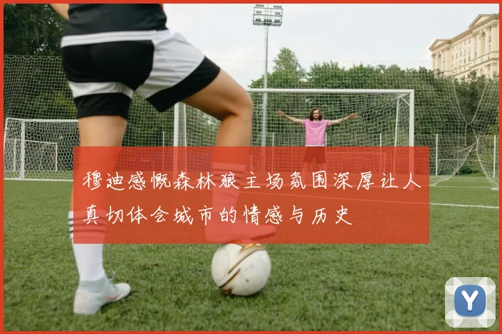 穆迪感慨森林狼主场氛围深厚让人真切体会城市的情感与历史